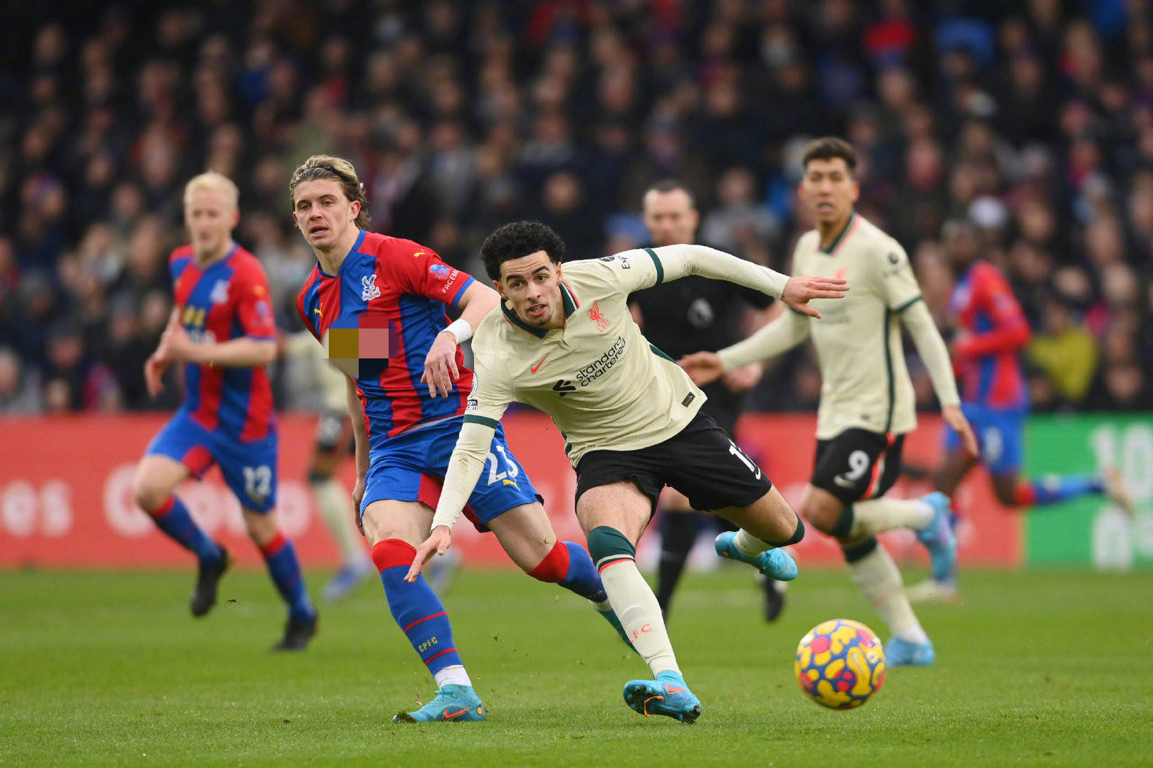 将为球队带 将为球队带